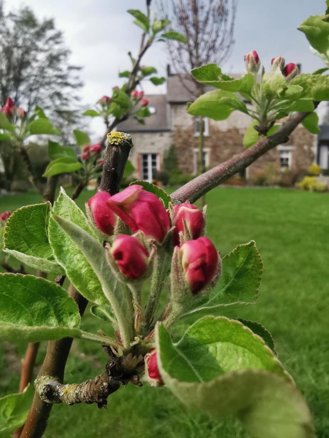 La Majolique Acomodação com café da manhã Namur Exterior foto